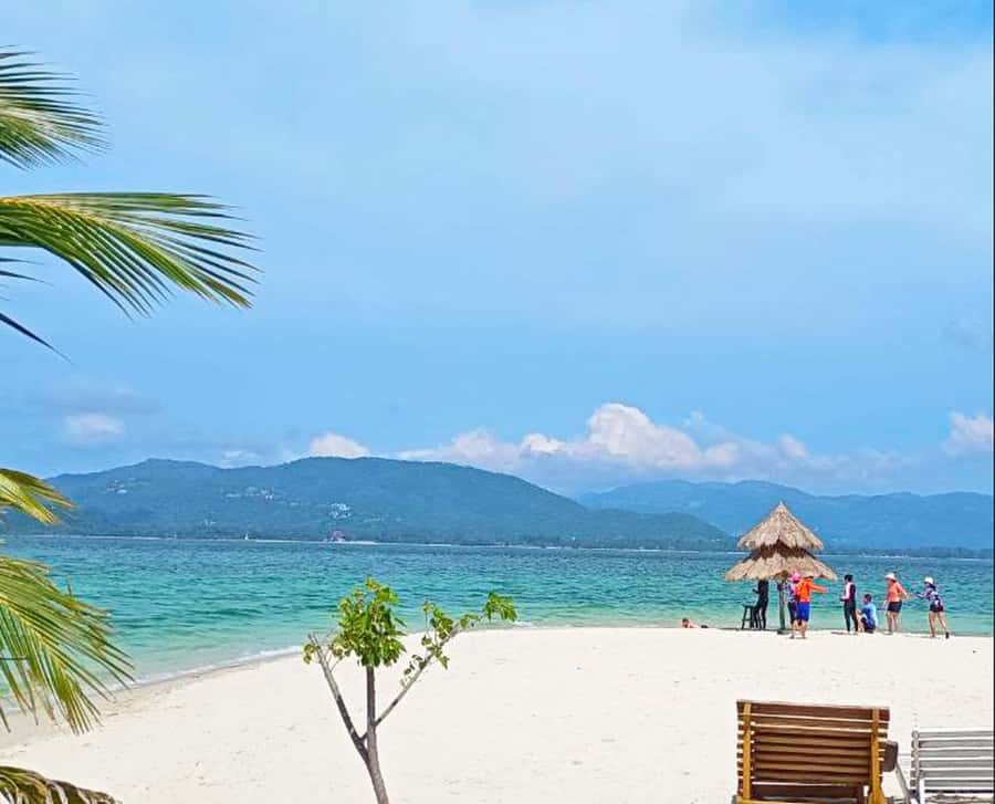 Ko Samui: Pig Island Snorkeling and Koh Tan Speedboat Tour - Hotel pickup is convenient, but allow extra time