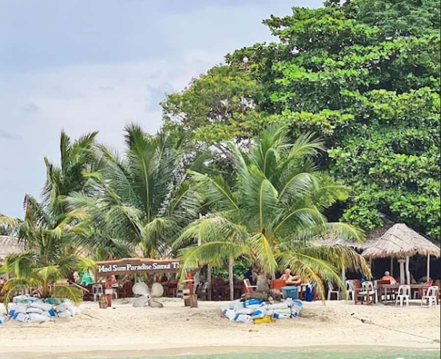 Ko Samui: Pig Island Snorkeling and Koh Tan Speedboat Tour - Lunch on the beach is simple and useful