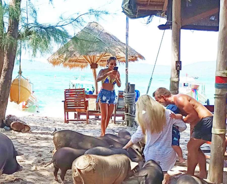 Ko Samui: Pig Island Snorkeling and Koh Tan Speedboat Tour - Who will enjoy this half-day outing?