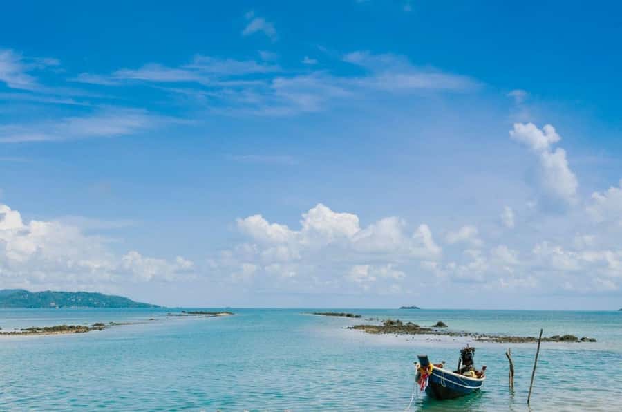 Ko Samui: Private Longtail Boat Tour to Koh Madsum & Koh Tan - Key points to know before you go