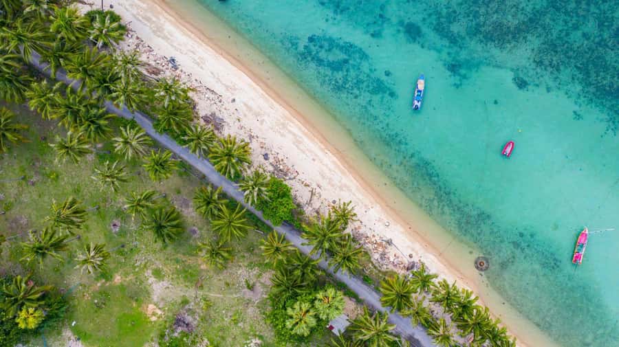 Ko Samui: Private Longtail Boat Tour to Koh Madsum & Koh Tan - Two hours on Pig Island