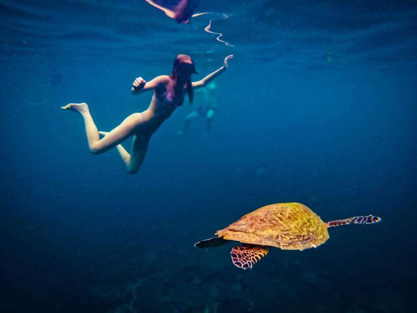 Ko Tao: Late Riser Snorkeling Tour with Lunch and Photos - Mango Bay: shallow water for an easy start
