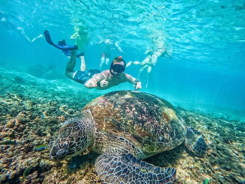 Ko Tao: Tao-Nangyuan Snorkeling Day Trip with Meals & Sunset - Lunch on board, with real choice instead of a boxed meal