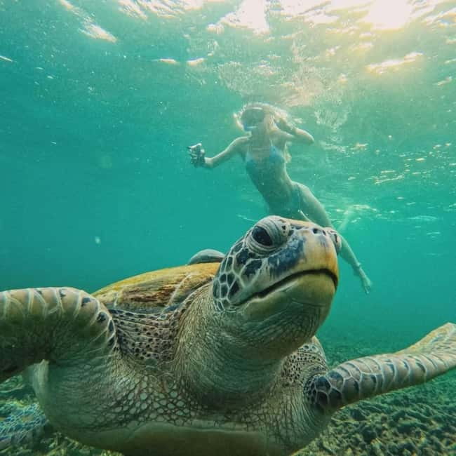 Ko Tao: Tao-Nangyuan Snorkeling Day Trip with Meals & Sunset - Mango Bay and Ao Muong: green hills and clear water