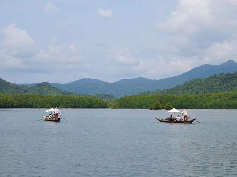 Koh Chang: Mangrove Forest Gondola Tour - Booking and cancellation details