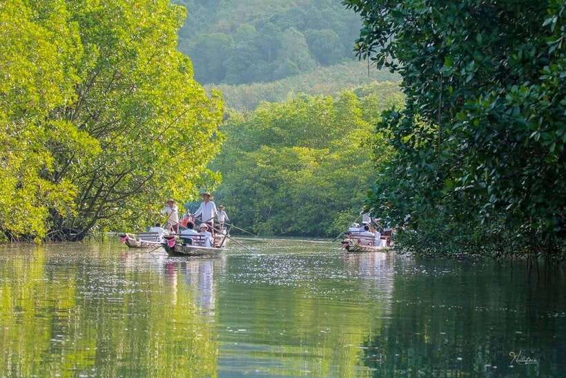 Koh Chang: Mangrove Forest Gondola Tour - Reaching the quiet side of Koh Chang