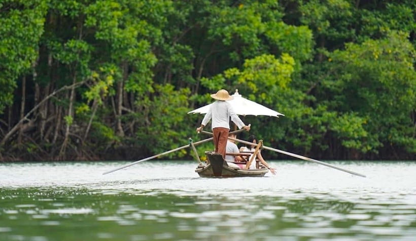 Koh Chang: Mangrove Forest Gondola Tour - Forty minutes among the Salak Khok mangroves
