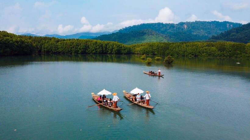 Koh Chang: Mangrove Forest Gondola Tour - What the captain adds to the ride
