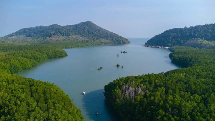Koh Chang: Mangrove Forest Gondola Tour - Boarding a private paddle-powered gondola