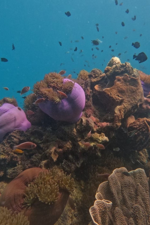 Koh Kood: Snorkeling Speedboat Tour with Lunch and Transfer - Island lunch with scenery on the side