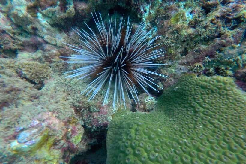 Koh Lanta: 4-Island Adventure Tour to Emerald Cave - Weather, crowds, and the small compromises