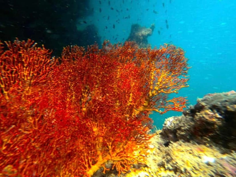 Koh Lanta: 4 Islands and Emerald Cave Snorkeling Trip - Swimming through Emerald Cave at Koh Muk