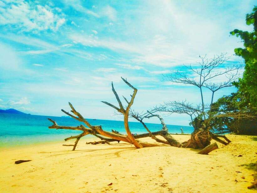 Koh Lanta: 4 Islands and Emerald Cave Snorkeling Trip - Koh Ngai and the first coral stop