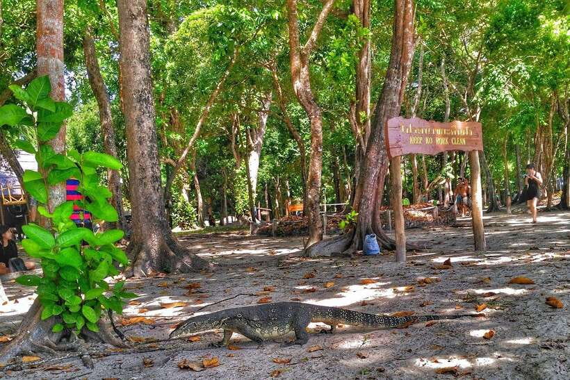 Koh Lanta: Adventure Sea Tour to Koh Rok and Koh Haa - Koh Rok brings the best beach time
