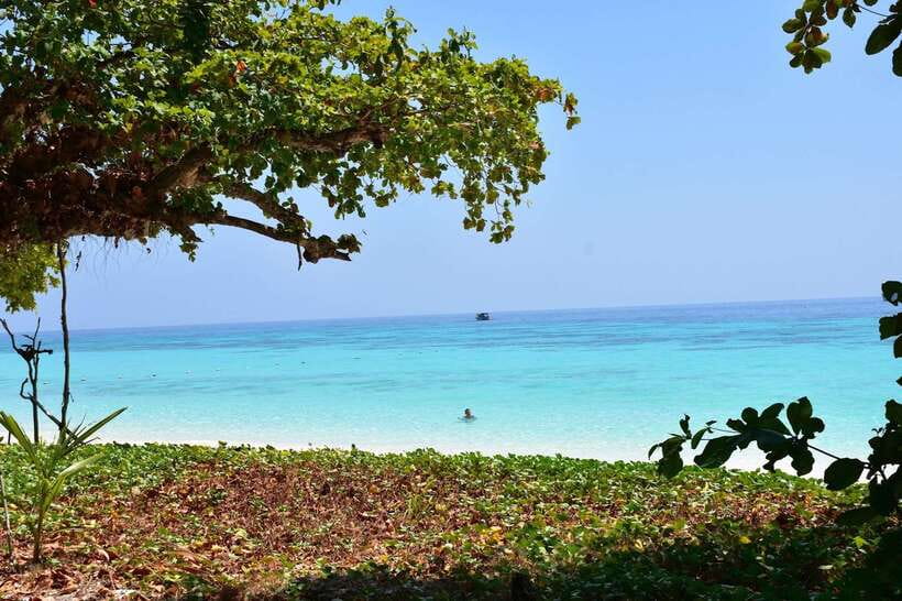 Koh Lanta: Adventure Sea Tour to Koh Rok and Koh Haa - The speedboat ride takes less than an hour