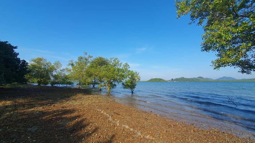 Koh Lanta Cultural Tuk-Tuk Tour: Old Town, Batik & Mangroves - Choosing Three Hours or Six