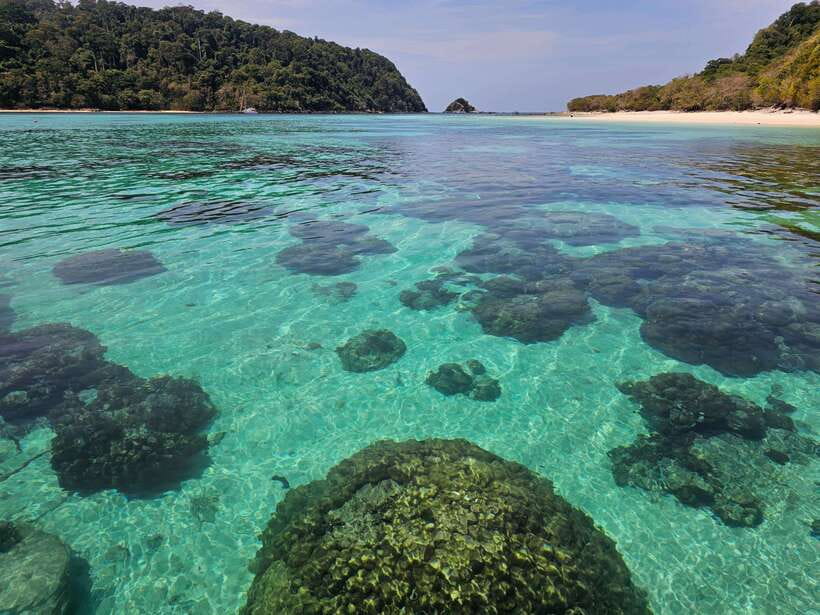 Koh Lanta: Koh Rok and Koh Haa Snorkeling Adventure - First snorkeling session at Koh Rok