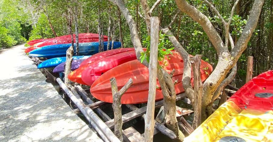 Koh Lanta:Mangrove + Elephant Camp Half Day Tour - Close encounters with monkeys on the boat