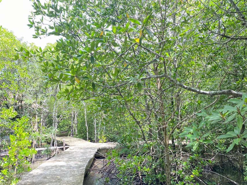 Koh Lanta:Mangrove + Elephant Camp Half Day Tour - Meeting the elephants at Tum Mai Kaew