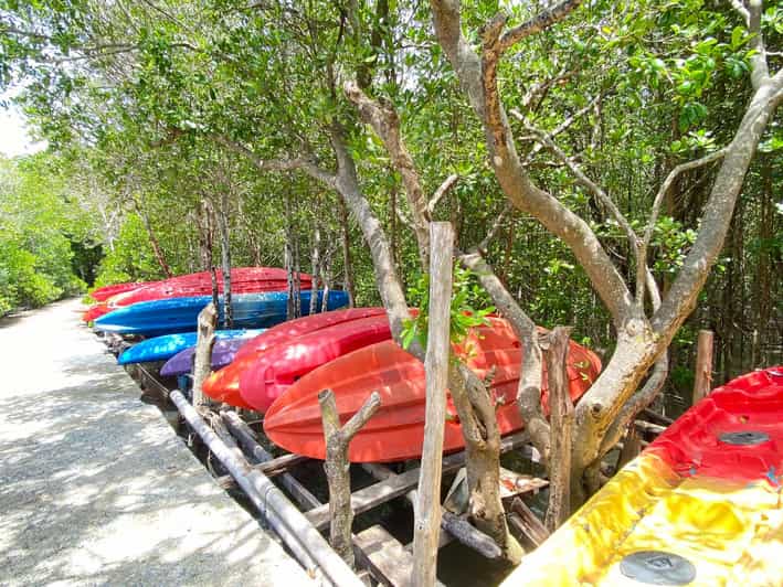 Koh Lanta:Mangrove + Elephant Camp Half Day Tour - Following the longtail boat into Thung Yee Peng