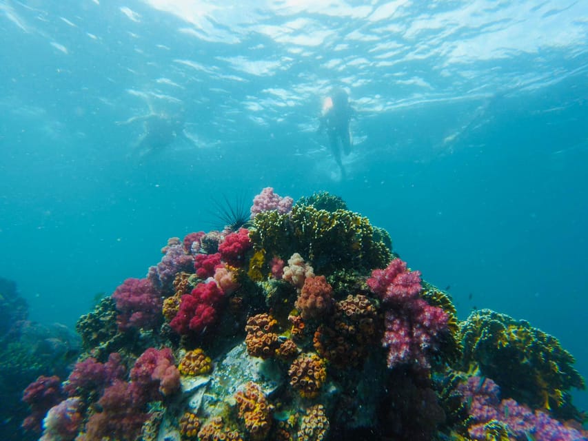 Koh Lipe: 7 Island Snorkeling Trip by Longtail Boat w/ Lunch - What the $27 price really covers