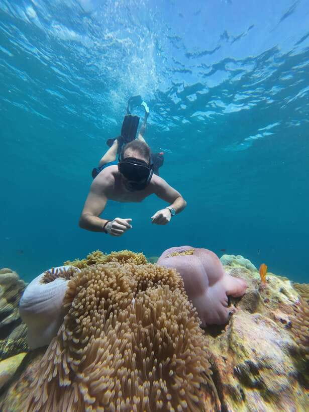 Koh Lipe: Half-Day Snorkeling (Morning/Afternoon/Sunset) - Key points to know before booking