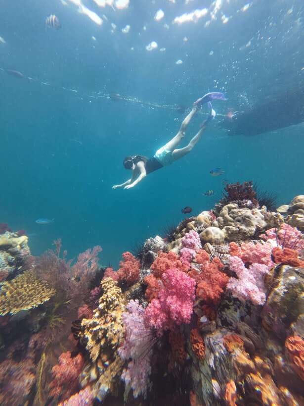 Koh Lipe: Half-Day Snorkeling (Morning/Afternoon/Sunset) - What the $16 price includes