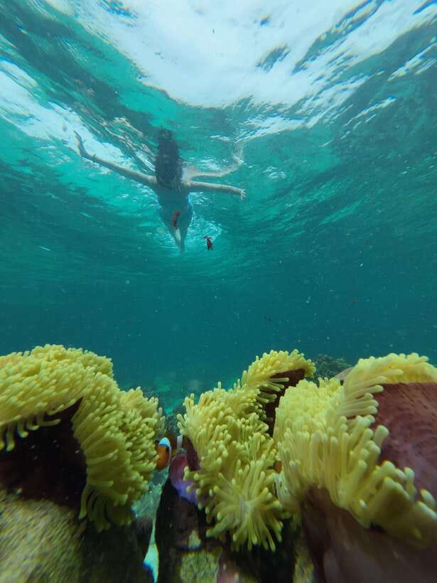 Koh Lipe: Half-Day Snorkeling (Morning/Afternoon/Sunset) - Who should book this half-day outing