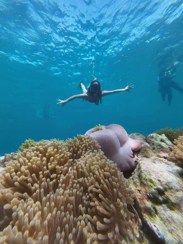 Koh Lipe: Half-Day Snorkeling (Morning/Afternoon/Sunset) - Practical tips for a smoother boat day