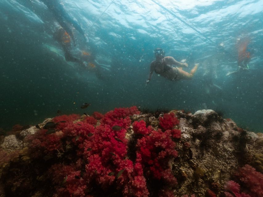 Koh Lipe: Longtail Boat Snorkeling Trip Program A - Six hours among Koh Lipe’s inner islands