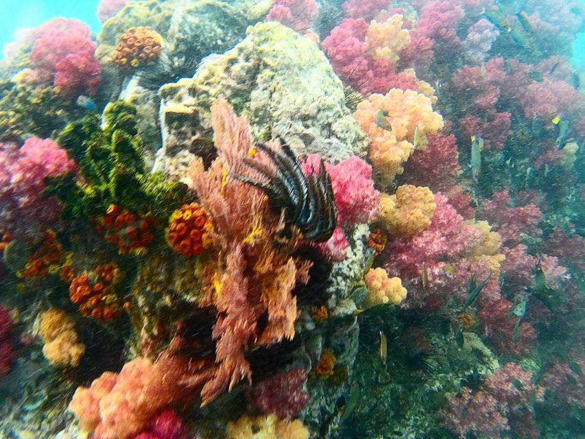 Koh Lipe Snorkeling Trip 6 hours Trip1 - Practical preparation for a better day