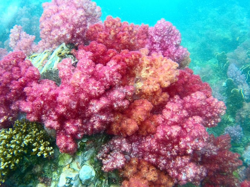 Koh Lipe Snorkeling Trip 6 hours Trip1 - Who will enjoy this day most
