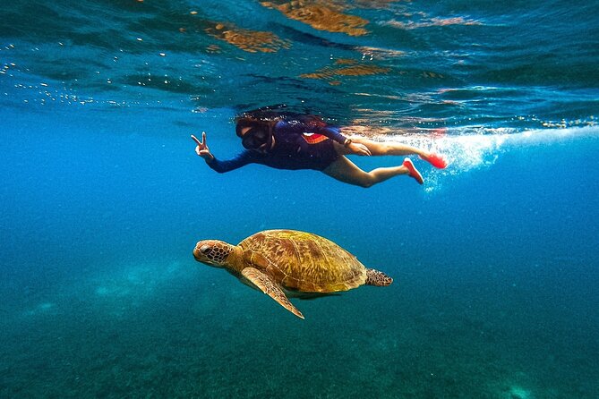 Koh Nang Yuan and Koh Tao 5 Point Snorkeling Tour - Key points to know before booking