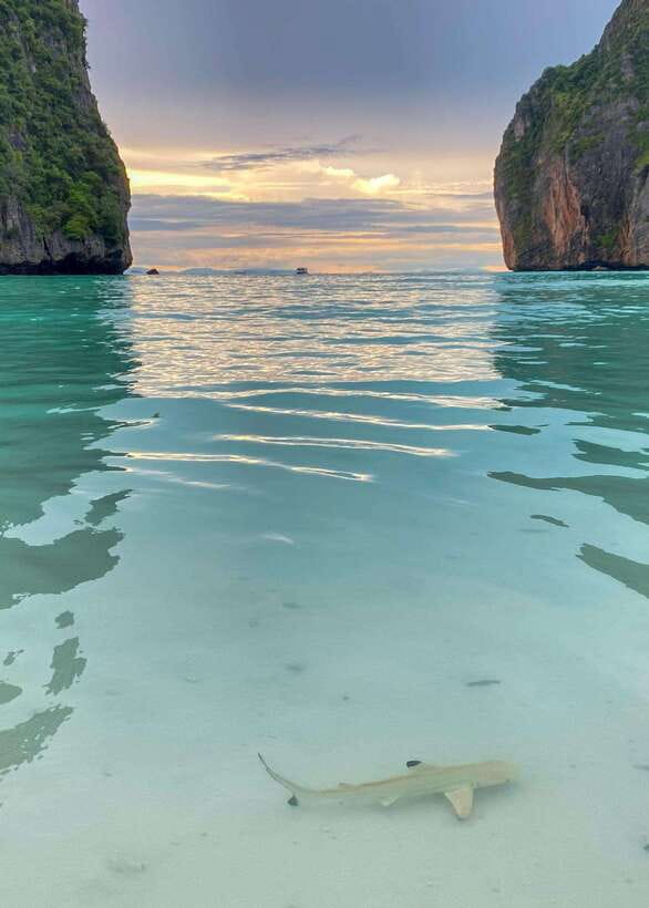 Koh Phi Phi: Maya Bay Private Longtail Boat Tour - Maya Bay before the crowds