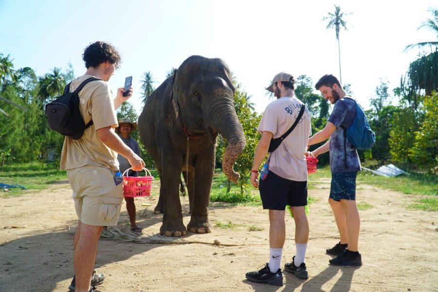 Koh Samui: 4x4 Sightseeing Safari & Elephant Sanctuary Tour - Key points at a glance