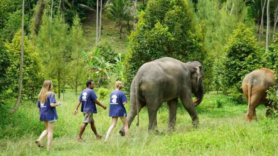 Koh Samui: 4x4 Sightseeing Safari & Elephant Sanctuary Tour - Why this 4x4 day works well for first-time visitors