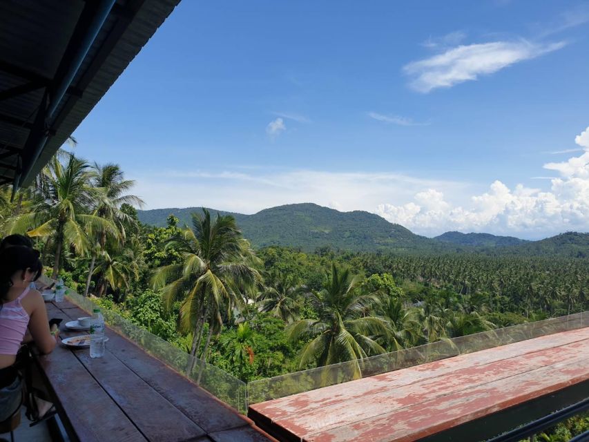 Koh Samui: 4x4 Sightseeing Safari & Elephant Sanctuary Tour - Coconut plantations and everyday island work