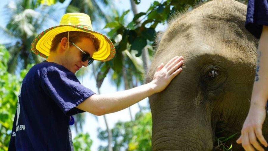 Koh Samui: 4x4 Sightseeing Safari & Elephant Sanctuary Tour - Lunch with a panoramic view