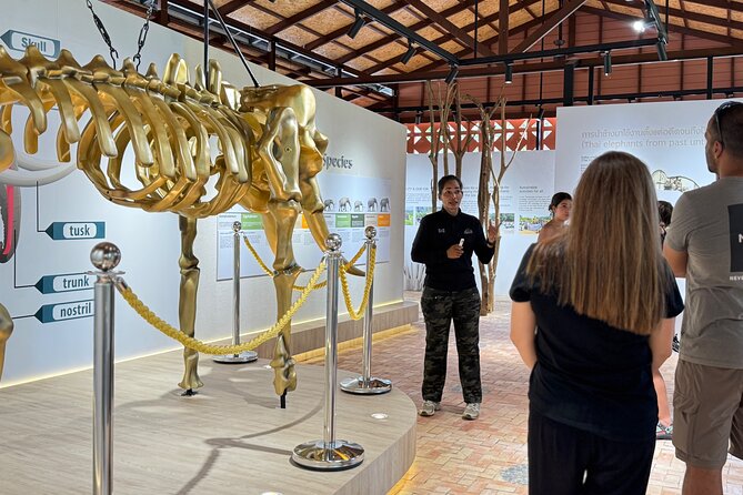 Koh Samui Elephant Home Sanctuary and the first Elephant Museum - Stop one: seed bombs, sanctuary briefing, and a useful introduction