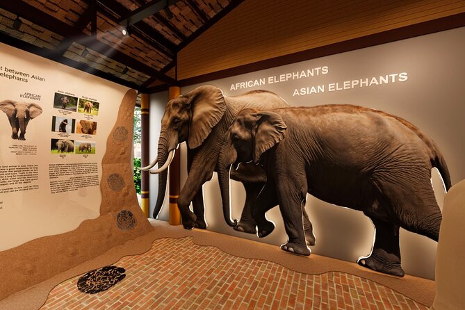 Koh Samui Elephant Home Sanctuary and the first Elephant Museum - Stop three: walking with elephants in the jungle
