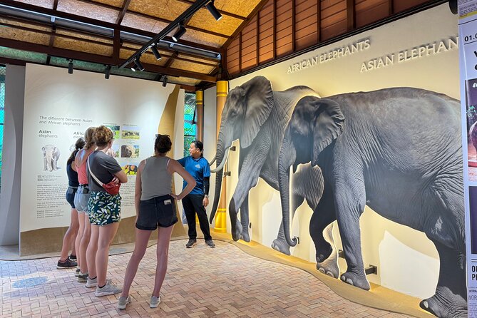 Koh Samui Elephant Home Sanctuary and the first Elephant Museum - Is the $65.18 price good value?