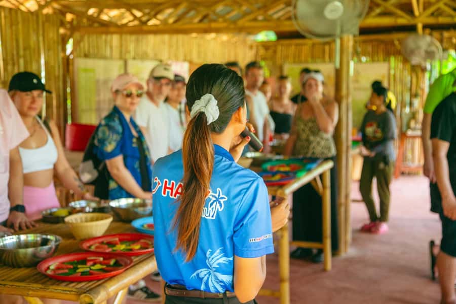 Koh Samui: Elephant Sanctuary and Jungle Tour with Lunch - The best parts of the day at a glance