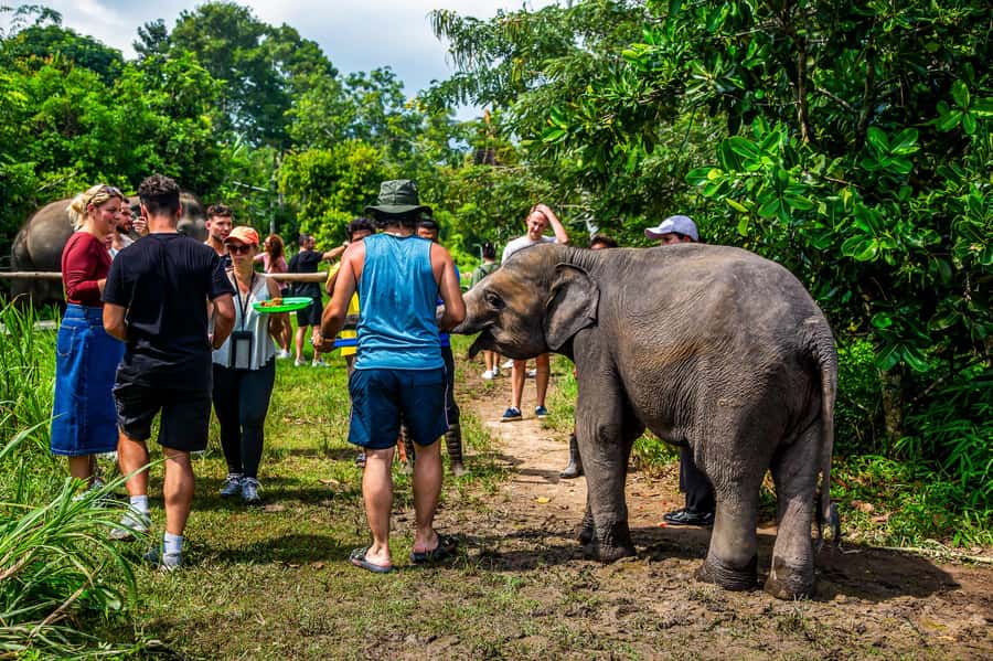 Koh Samui: Elephant Sanctuary and Jungle Tour with Lunch - Preparing food at I Love Elephant Samui