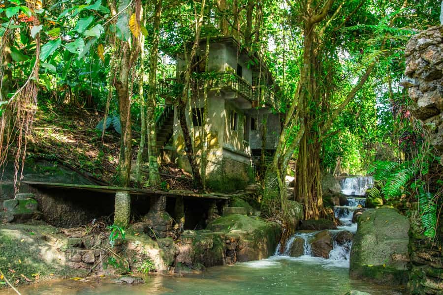 Koh Samui: Elephant Sanctuary and Jungle Tour with Lunch - Group size, guides, and the rhythm of the day