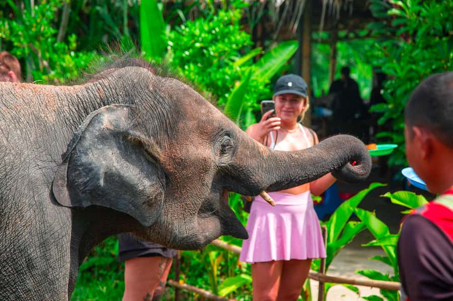 Koh Samui: Elephant Sanctuary and Jungle Tour with Lunch - Namuang Waterfall: a short, refreshing first stop