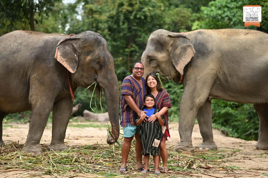 Koh Samui: Elephant Sanctuary Entry and Feeding Experience - Meeting rescued elephants without rides or staged tricks