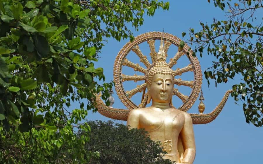 Koh Samui: Half-Day Highlights Tour with Hotel Transfers - Why this half-day route works on Koh Samui
