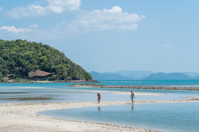 Koh Samui: Island Hopping Adventure in Coral and Pig Island - Key Details Before You Book
