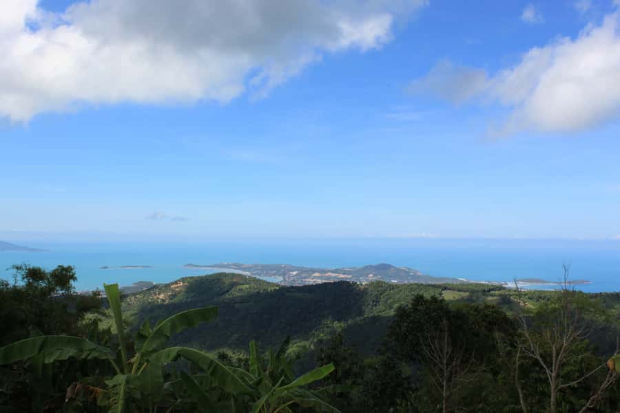 Koh Samui: Mr.Ung's 4WD Wild Jungle Safari Tour with Lunch - Buddha’s Magic Garden feels made for wandering
