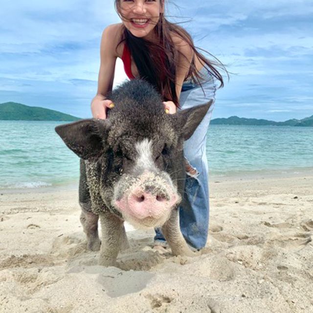 Koh Samui: Pig Island & Koh Tan Snorkeling by Speed boat - How the timing really works